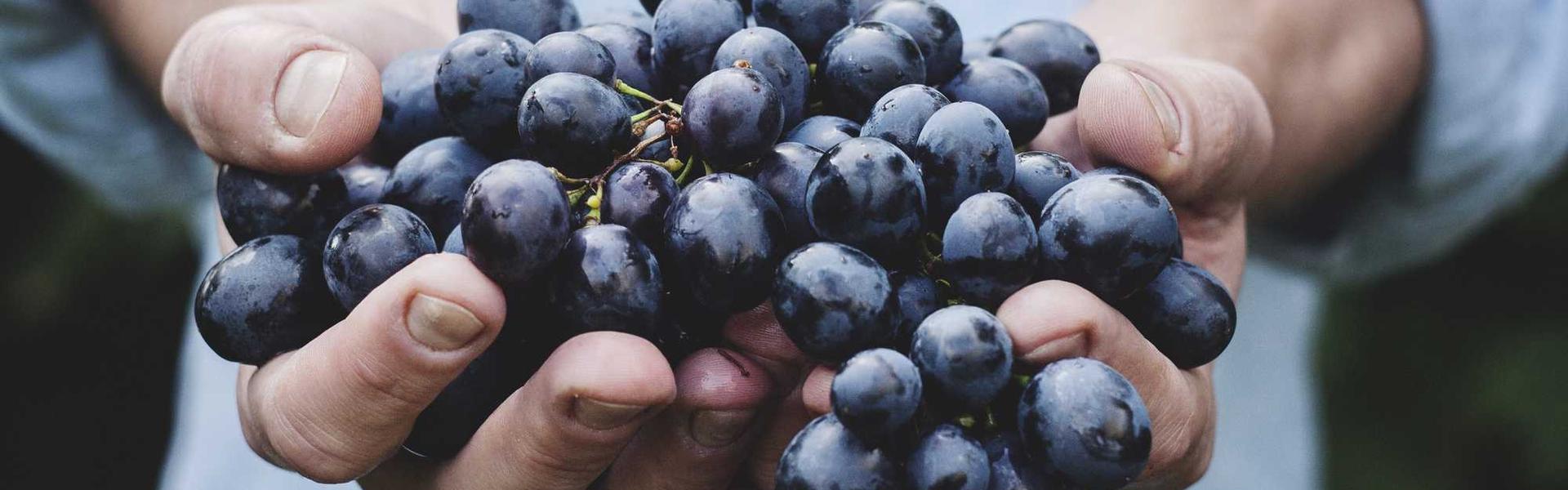 Restaurant & Kitchen Equipment