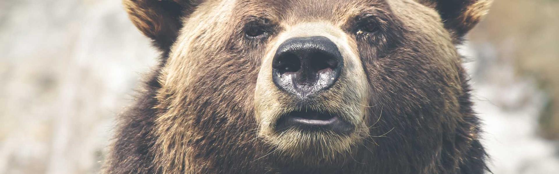 Retail & Store Fixtures